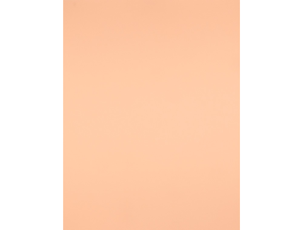 CARTULINA LIDERPAPEL 50X65 CM 240G/M2 SEPIA