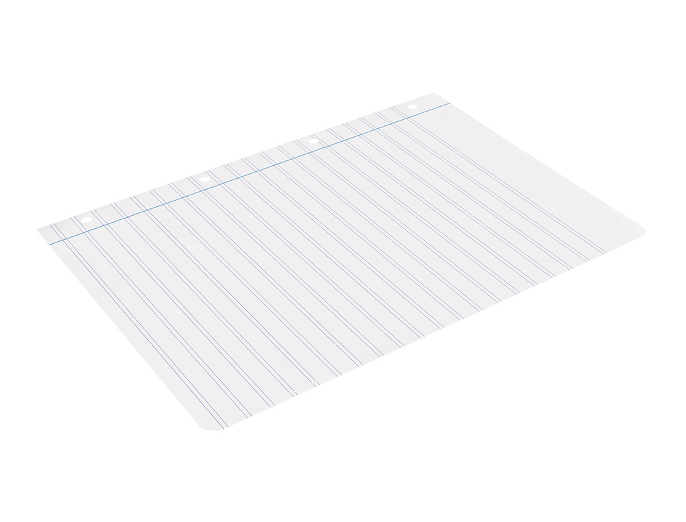 RECAMBIO LIDERPAPEL A4 100 HOJAS 100GR PAUTA 5ª 2.5MM CON MARGEN 4 TALADROS